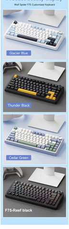 AULA F75 2.4G Wireless/Bluetooth/Wired Gaming Mechanical Keyboard RGB Customized 75% Layout OEM Profile Gasket Structure